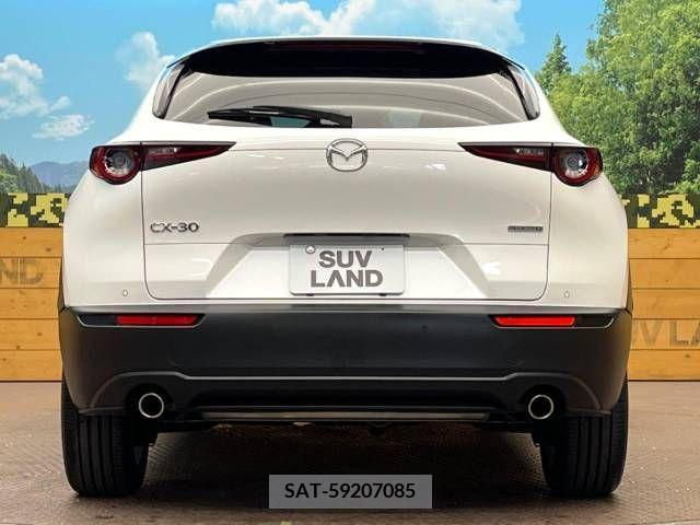 Mazda CX-30 2020-06 302106-15
