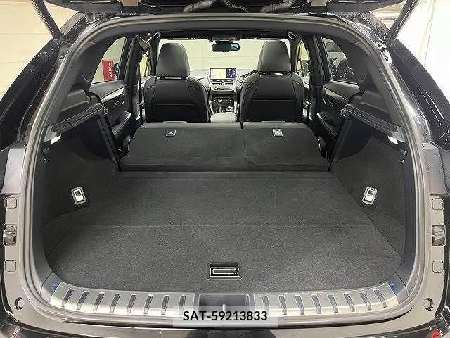 Lexus NX 2018-01 221905-19