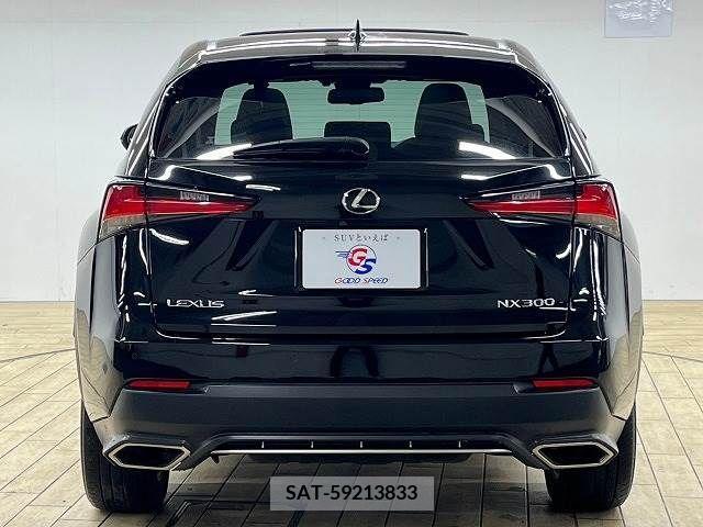 Lexus NX 2018-01 221905-18