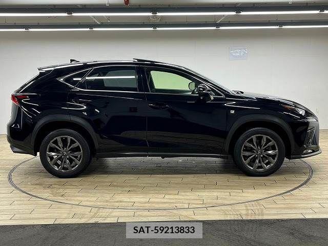 Lexus NX 2018-01 221905-17