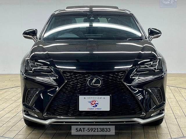 Lexus NX 2018-01 221905-16
