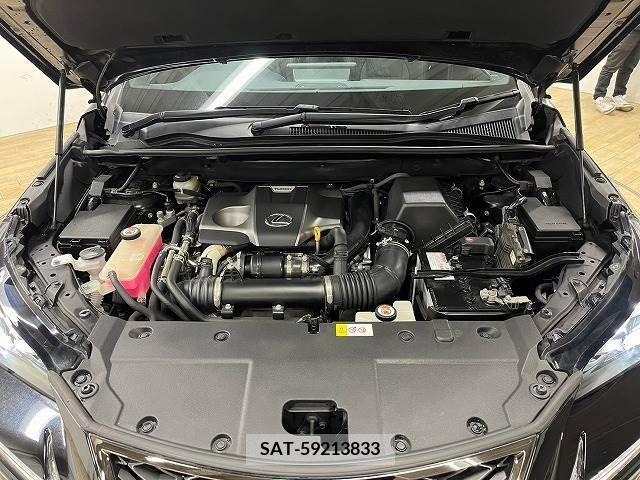 Lexus NX 2018-01 221905-13