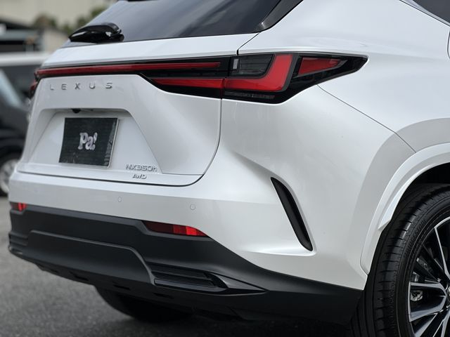 Lexus NX 2023-01 9670-24