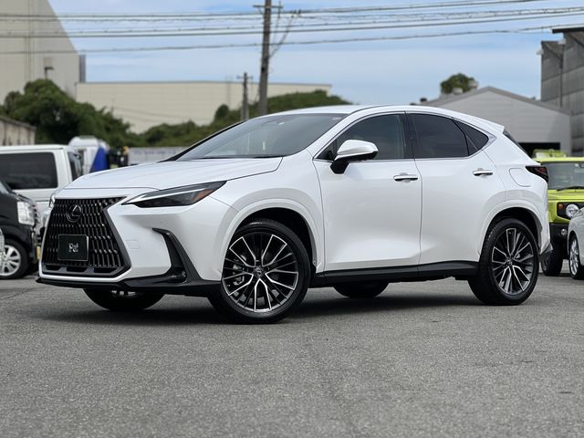 Lexus NX 2023-01 9670-0