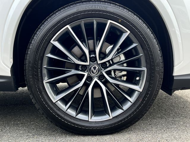 Lexus NX 2023-01 9670-25