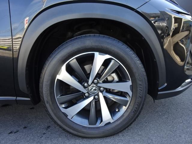 Lexus NX 2018-01 13679-8