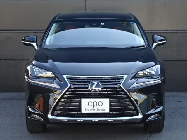 Lexus NX 2018-01 13679-1
