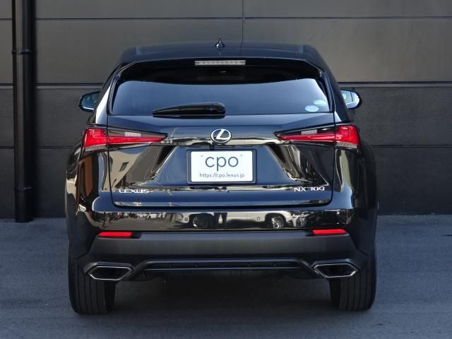 Lexus NX 2018-01 13679-4