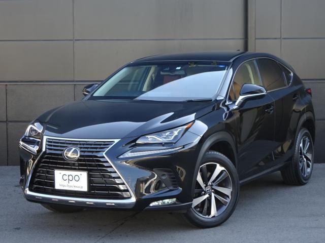 Lexus NX 2018-01 13679-0