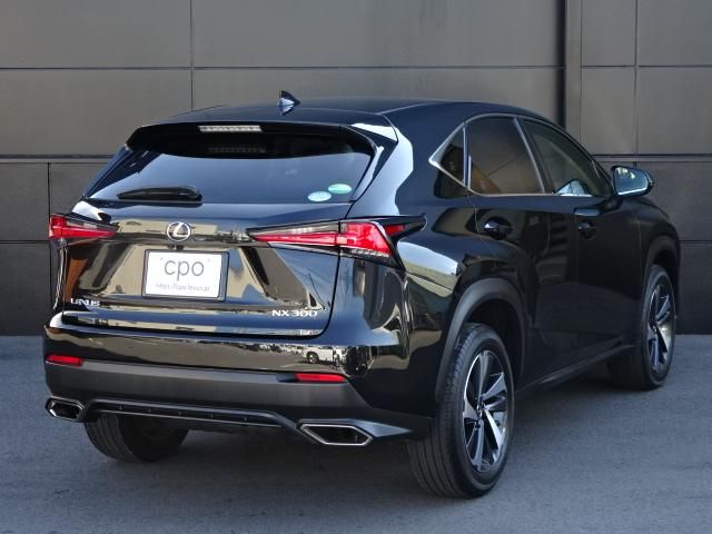 Lexus NX 2018-01 13679-3