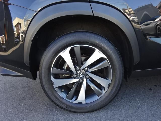 Lexus NX 2018-01 13679-9