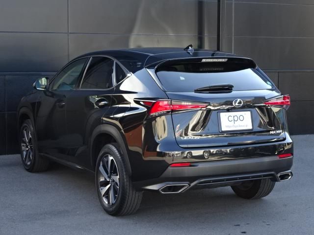 Lexus NX 2018-01 13679-5