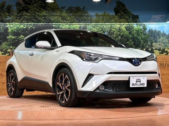 Toyota C-HR 2018-03 28253-16