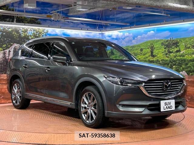 Mazda CX-8 2019-01 340811-17