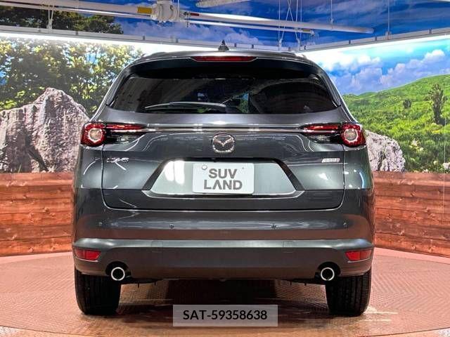 Mazda CX-8 2019-01 340811-16