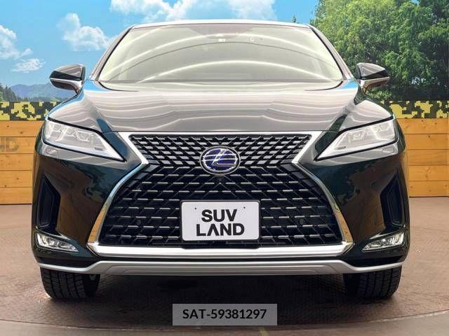 Lexus RX 2022-03 239590-15