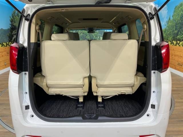 Toyota ALPHARD 2019-08 194902-11
