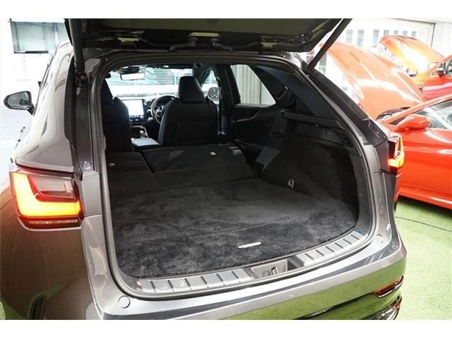 Lexus NX 2022-01 1021-20