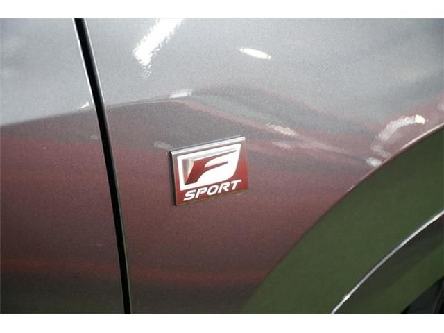 Lexus NX 2022-01 1021-29