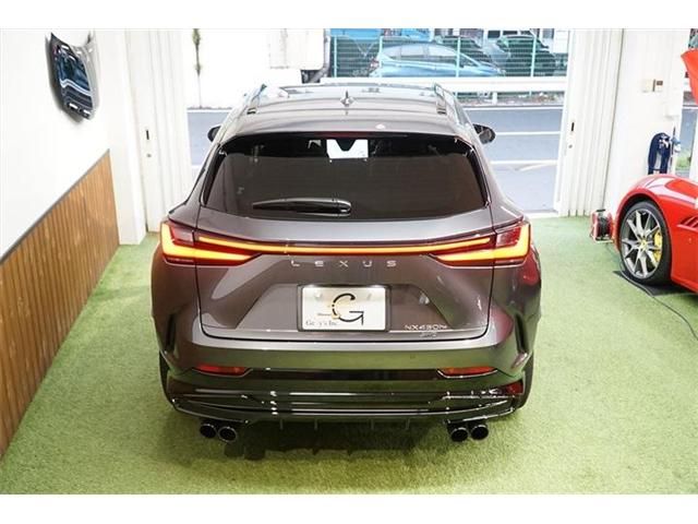 Lexus NX 2022-01 1021-6