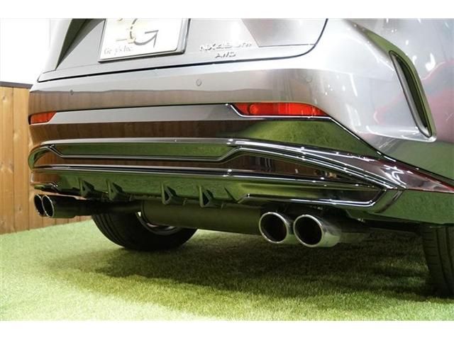 Lexus NX 2022-01 1021-25