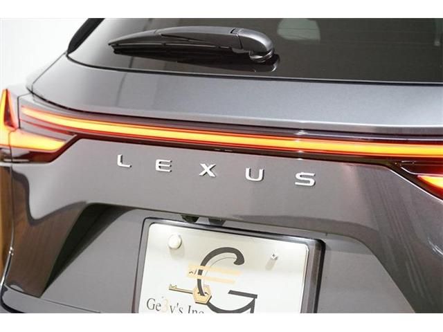Lexus NX 2022-01 1021-24