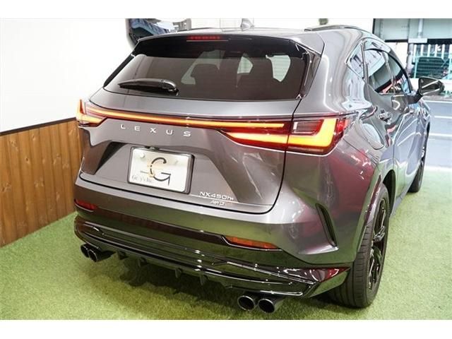 Lexus NX 2022-01 1021-7