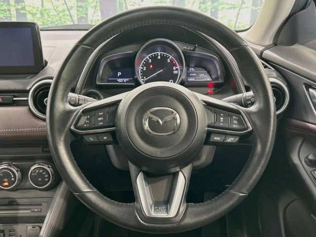 Mazda CX-3 2017-03 25144-12