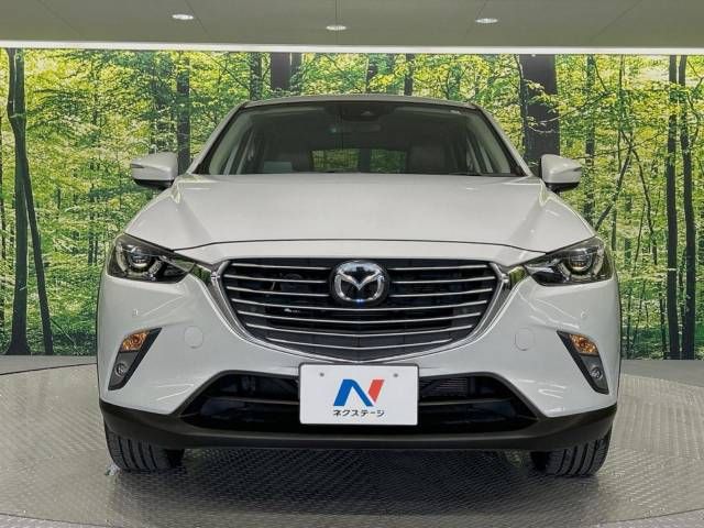 Mazda CX-3 2017-03 25144-15
