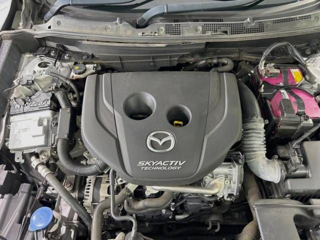 Mazda CX-3 2017-03 25144-19