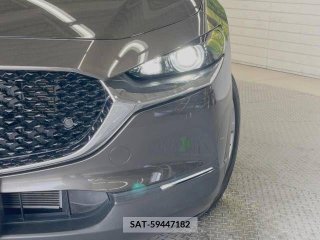 Mazda CX-30 2020-04 358506-12
