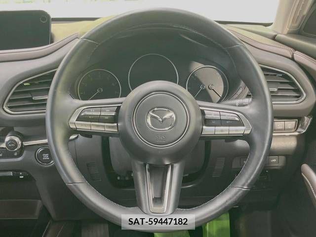 Mazda CX-30 2020-04 358506-11