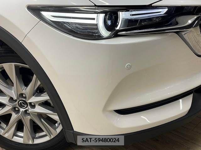 Mazda CX-8 2018-01 308532-19
