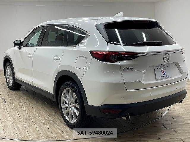 Mazda CX-8 2018-01 308532-16