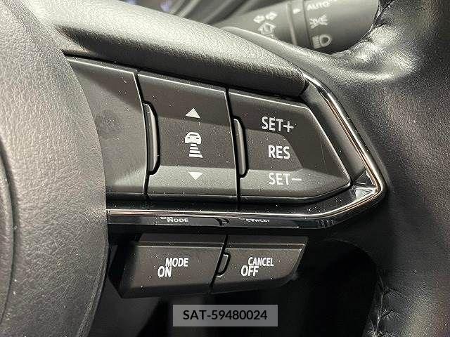 Mazda CX-8 2018-01 308532-6