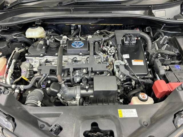 Toyota C-HR 2017-02 189054-18