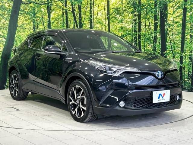 Toyota C-HR 2017-02 189054-16