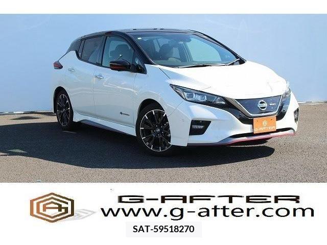 Nissan LEAF 2018-11 274728-0