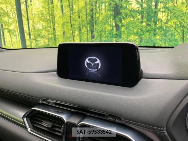 Mazda CX-8 2018-04 266241-3