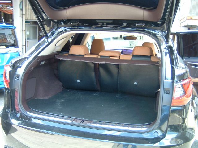 Lexus RX 2017-06 16243-5
