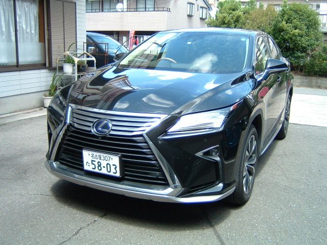 Lexus RX 2017-06 16243-0