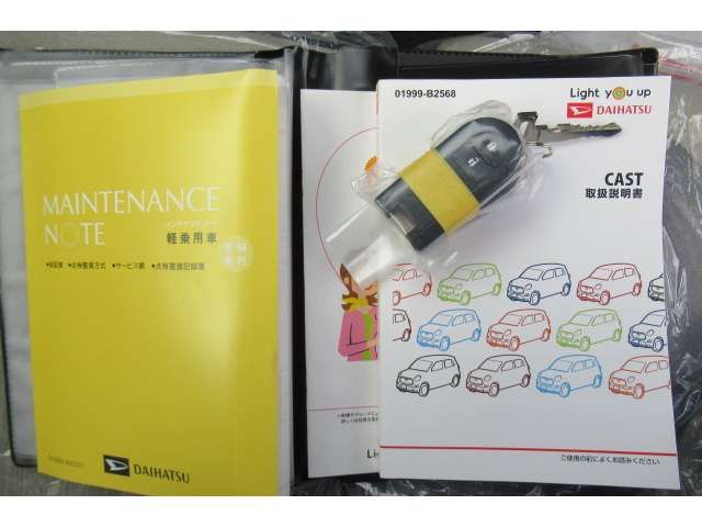 Daihatsu CAST 2022-09 196665-17