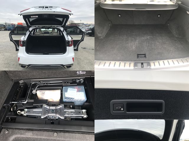 Lexus RX 2017-11 1850-8