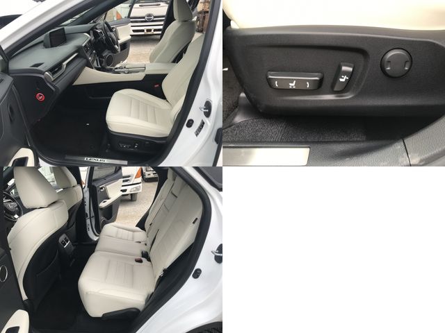 Lexus RX 2017-11 1850-7