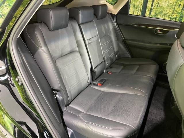 Lexus NX 2018-03 19983-9