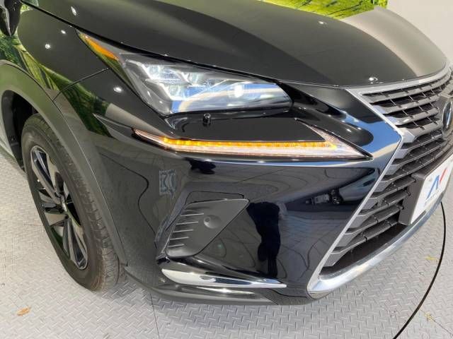 Lexus NX 2018-03 19983-12