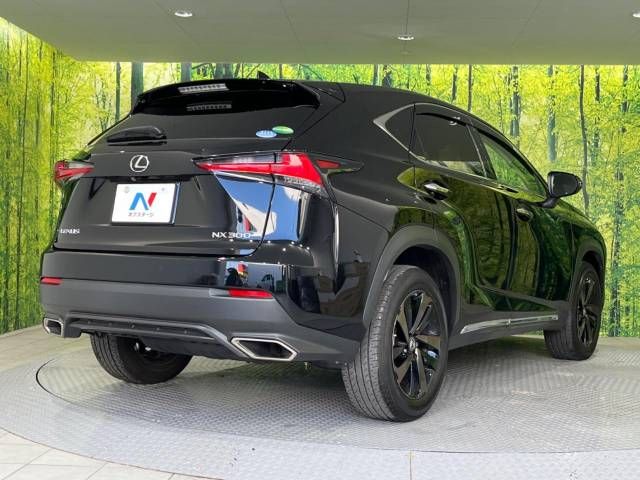 Lexus NX 2018-03 19983-16