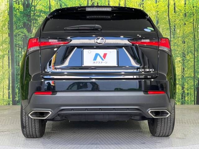 Lexus NX 2018-03 19983-15