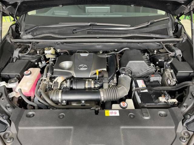 Lexus NX 2018-03 19983-18