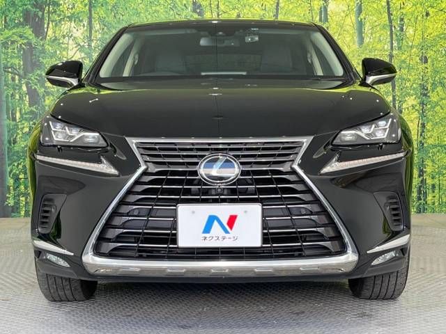 Lexus NX 2018-03 19983-14